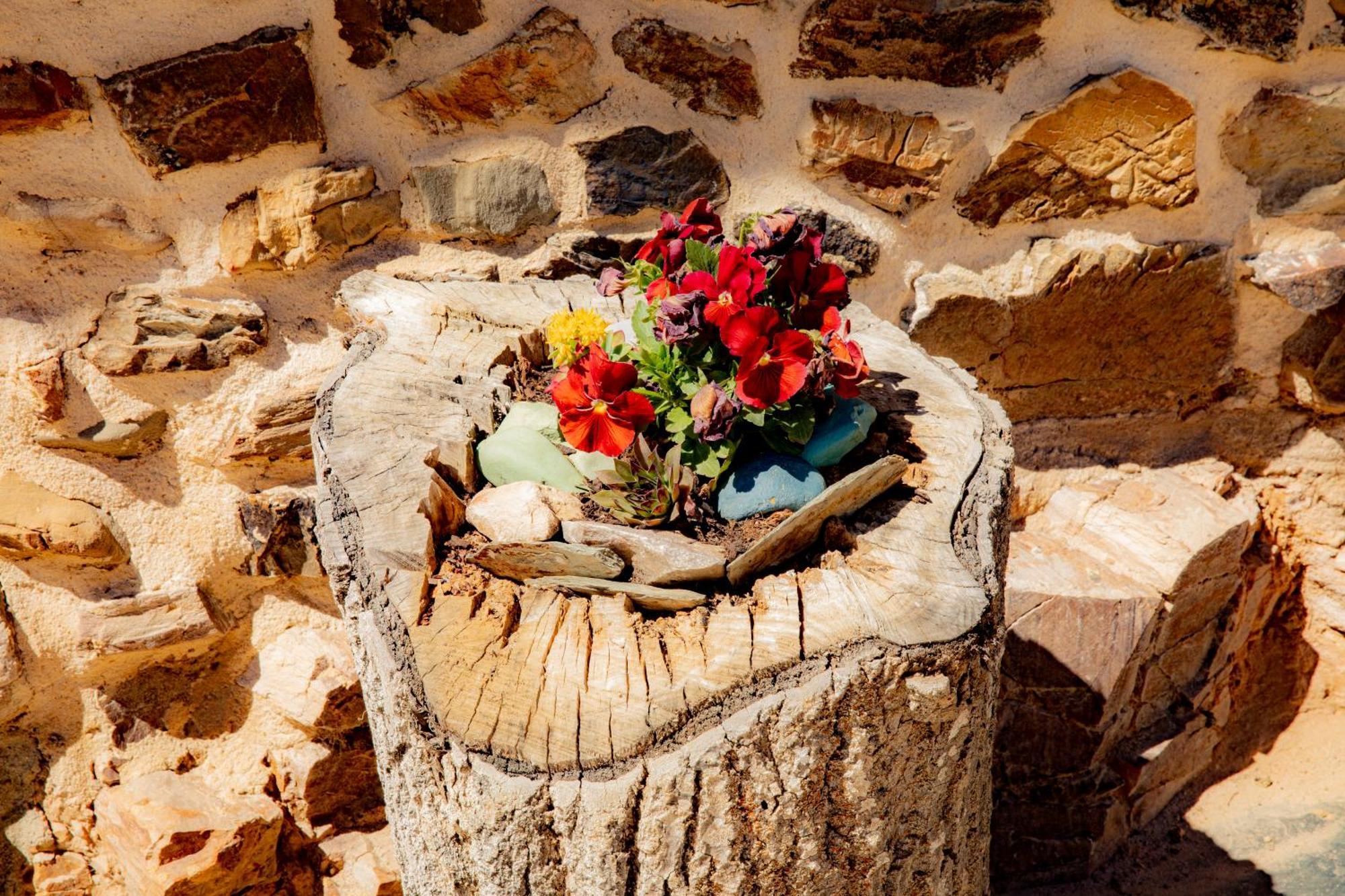 Via Avis Guest House Santa Catalina de Somoza Exterior foto